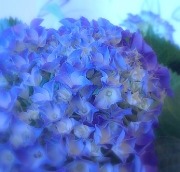 季・とき折々…